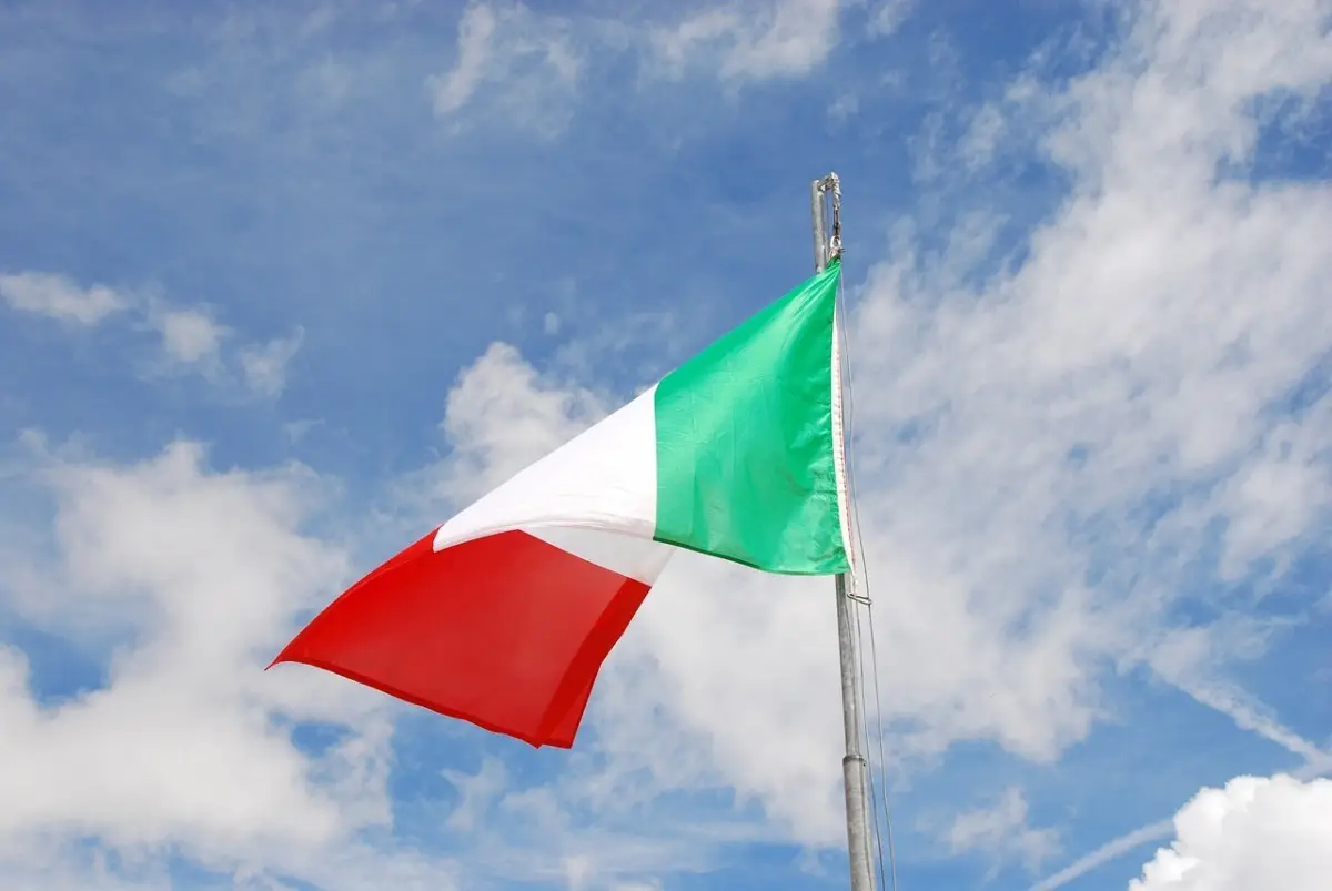 Immagine selezionata