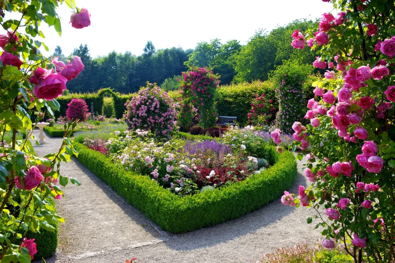 Immagine selezionata